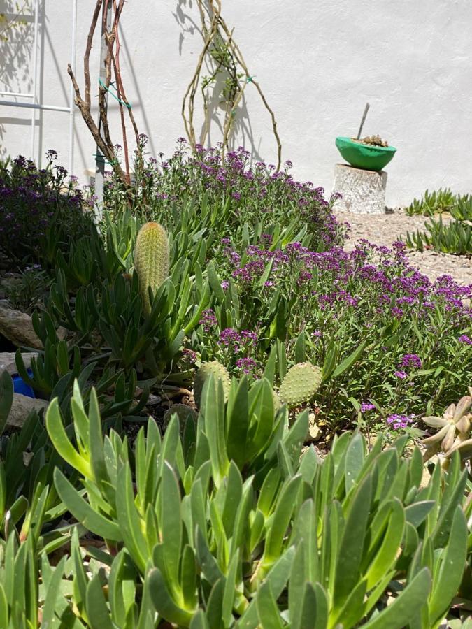 La Casa Di Nina Bed & Breakfast Lecce Exterior photo