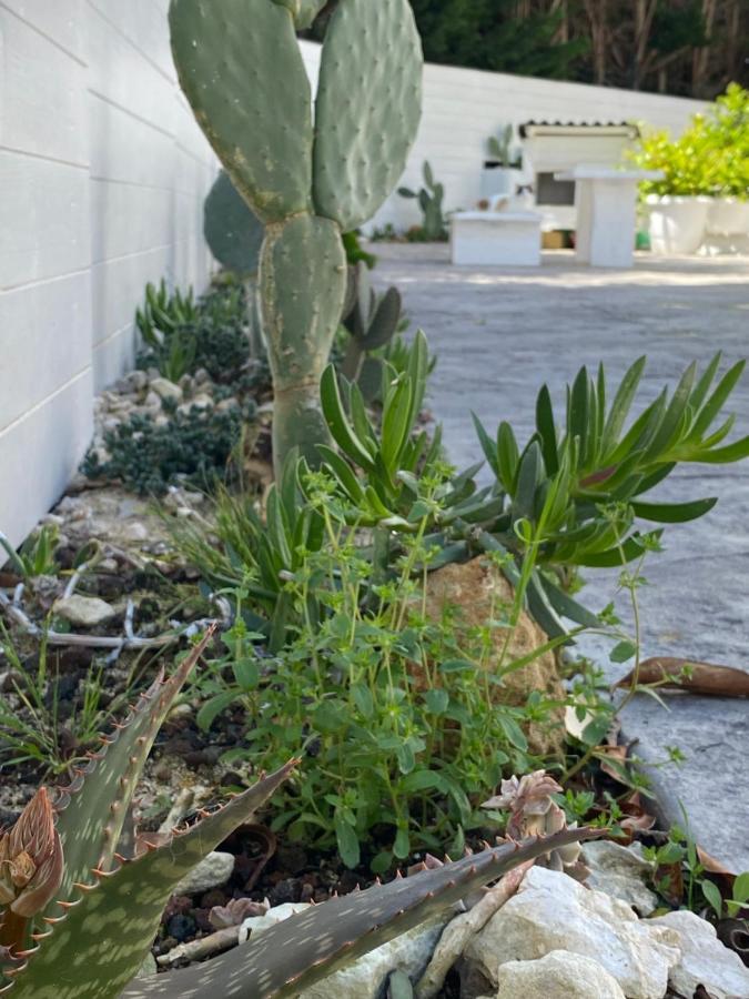 La Casa Di Nina Bed & Breakfast Lecce Exterior photo